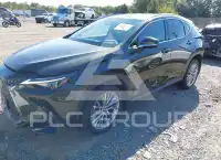 2024 Lexus NX250 photo