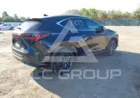 2024 Lexus NX250 фото