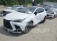 2024 Lexus NX250 фото