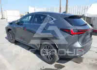 2024 Lexus NX250 photo