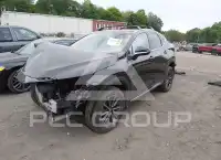 2024 Lexus NX250 фото
