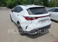 2024 Lexus NX250 фото