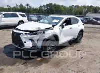 2024 Lexus NX250 фото