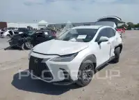 2024 Lexus NX250 photo