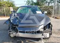 2024 Lexus NX250 фото