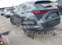2024 Lexus NX250 photo