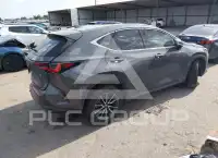 2024 Lexus NX250 photo