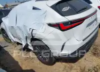 2024 Lexus NX250 photo