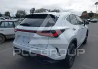 2024 Lexus NX250 фото