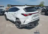 2024 Lexus NX250 photo