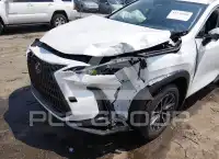 2024 Lexus NX250 фото