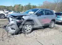 2024 Toyota RAV4 photo