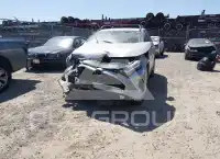 2024 Toyota RAV4 photo