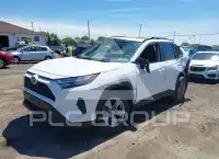 2024 Toyota RAV4 фото