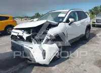 2024 Toyota RAV4 фото
