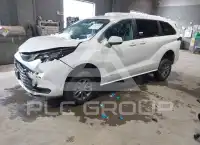 2024 Toyota SIENNA фото