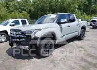 2024 Toyota TUNDRA фото
