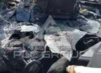 2024 Toyota PRIUS фото