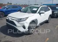 2024 Toyota RAV4 фото