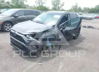 2024 Toyota RAV4 photo