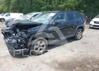 2024 Toyota RAV4 фото