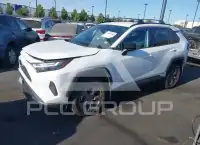 2024 Toyota RAV4 фото