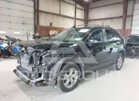 2024 Toyota RAV4 фото
