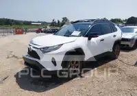 2024 Toyota RAV4 photo