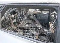 2024 Toyota bZ4X фото