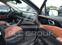 2024 KIA Carnival фото