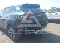 2024 KIA Sportage photo