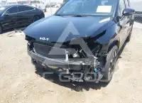 2024 KIA Sportage фото