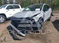 2024 KIA Sportage фото