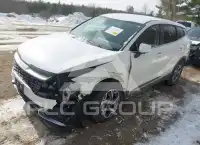 2024 KIA Sportage фото