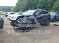 2024 KIA Sportage фото
