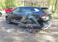2024 KIA Sportage photo