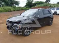 2024 KIA Niro photo