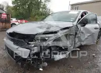2024 KIA K5 фото