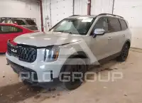2024 KIA Telluride photo
