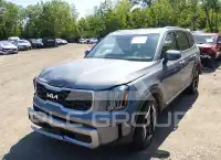 2024 KIA Telluride photo