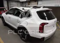 2024 KIA Telluride photo