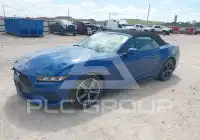 2024 Ford MUSTANG фото