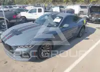 2024 Ford MUSTANG фото