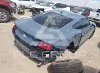 2024 Ford MUSTANG фото