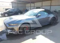 2024 Ford MUSTANG фото