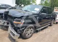2024 Ford F-150 photo