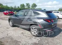 2024 Hyundai Tucson фото
