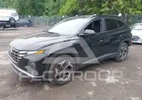 2024 Hyundai Tucson фото