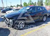 2024 Hyundai Tucson фото