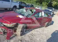 2024 Hyundai Elantra photo